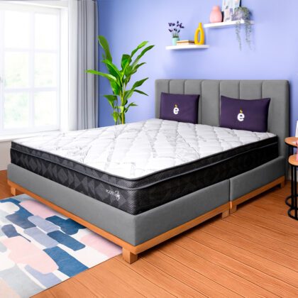 Combo Essencial Royal