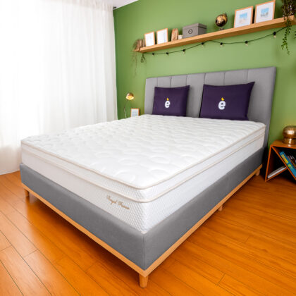 Combo Essencial Royal